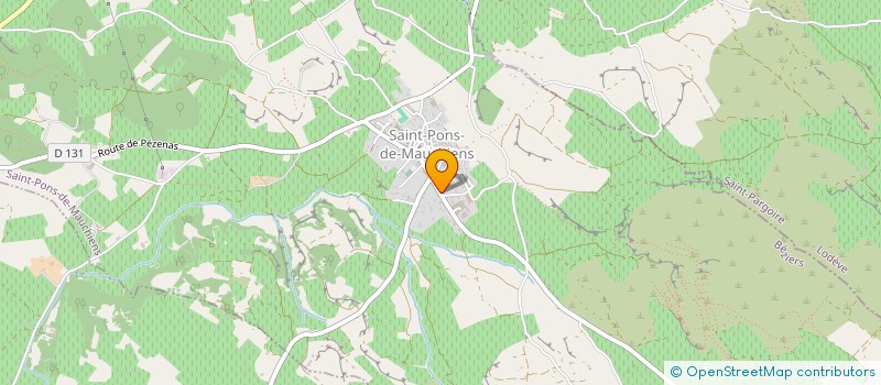 localisation de l'entreprise NAD'IN FRANCE  SAINT-PONS-DE-MAUCHIENS