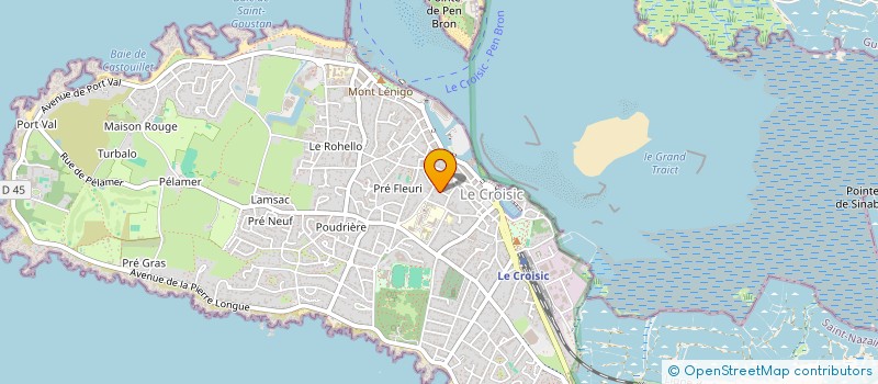 localisation de l'entreprise NAE VACANCES  PENESTIN