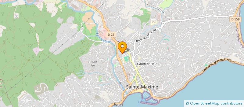 localisation de l'entreprise NAEL à SAINTE-MAXIME