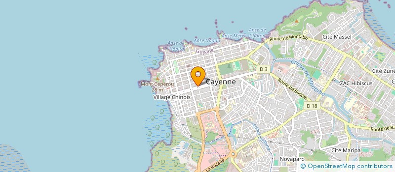 localisation de l'entreprise NAIA  CAYENNE