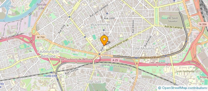 localisation de l'entreprise NAIMO à LILLE