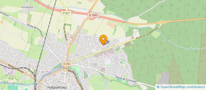 localisation de l'entreprise NANIE  HAGUENAU