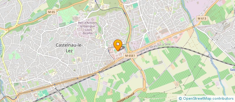 localisation de l'entreprise NANOU SERVICES à CASTELNAU-LE-LEZ