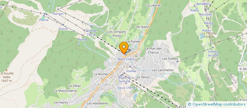 localisation de l'entreprise NAODRO  LES GETS