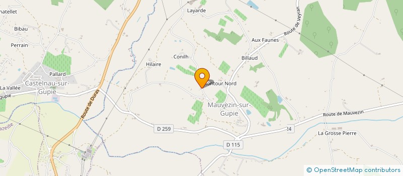 localisation de l'entreprise NAPAPIRIGS  MAUVEZIN-SUR-GUPIE