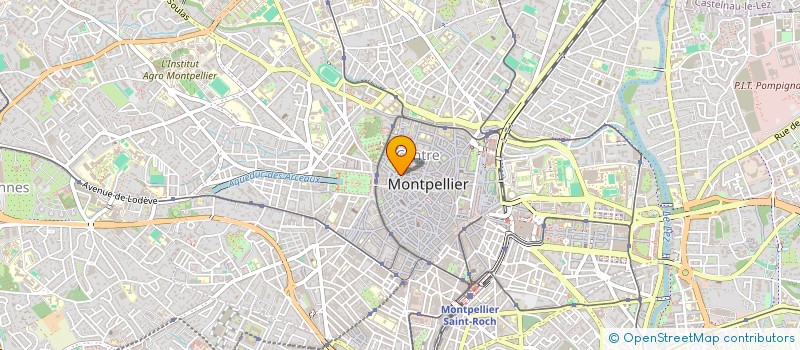 localisation de l'entreprise NAPOLEON DYNAMITE  MONTPELLIER