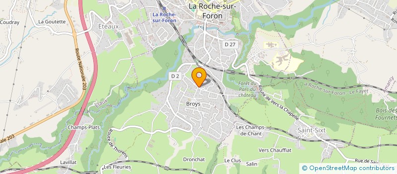 localisation de l'entreprise NARGOL LEGRAND  LA ROCHE-SUR-FORON