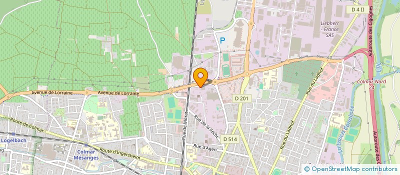 localisation de l'entreprise NAS  COLMAR