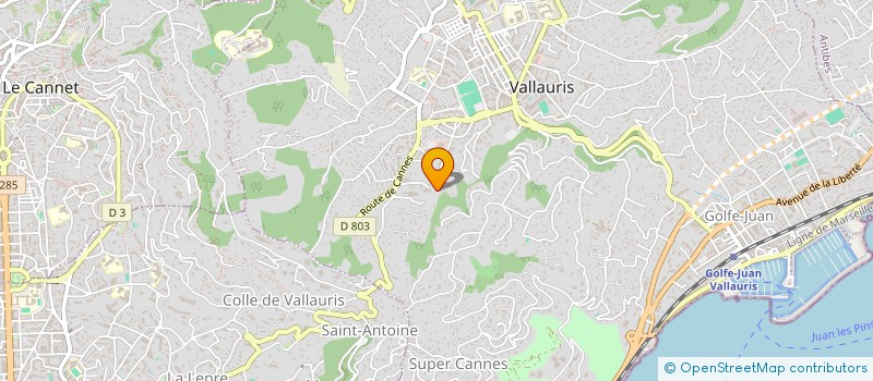 localisation de l'entreprise NASSO PATRICK ET DANIEL à VALLAURIS