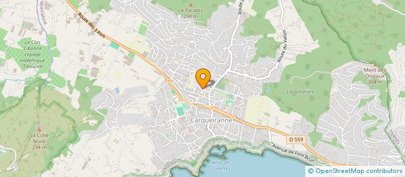 localisation de l'entreprise NAT  CARQUEIRANNE