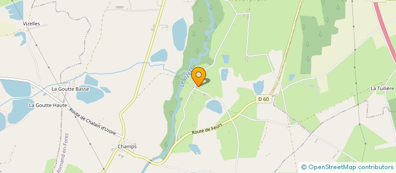 localisation de l'entreprise NATIVE  MORNAND-EN-FOREZ