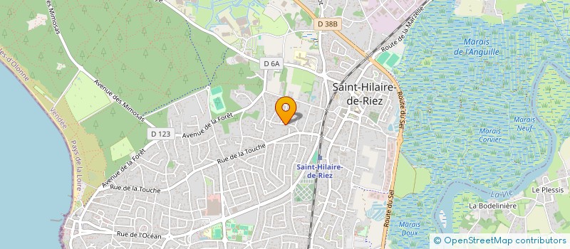 localisation de l'entreprise NATURAL HORSE 85 à SAINT-HILAIRE-DE-RIEZ