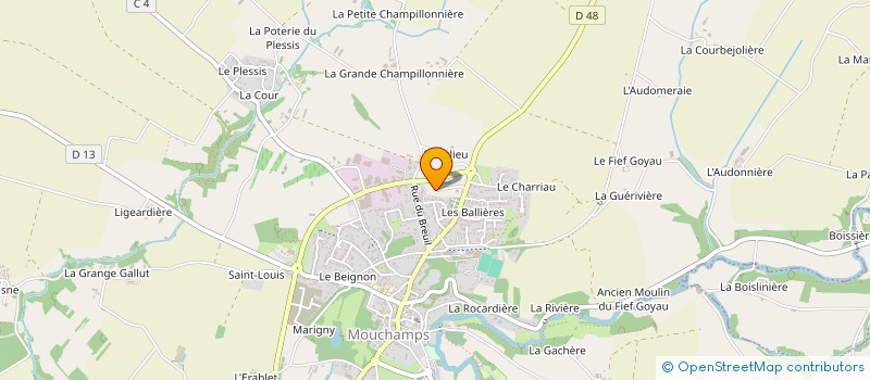 localisation de l'entreprise NATURAL INGREDIENTS à MOUCHAMPS