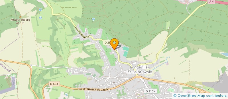 localisation de l'entreprise NATURE CONCEPT  LONGEVILLE-LES-SAINT-AVOLD