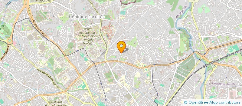 localisation de l'entreprise NATYAMANDIR-DANSES DE L'INDE à MONTPELLIER