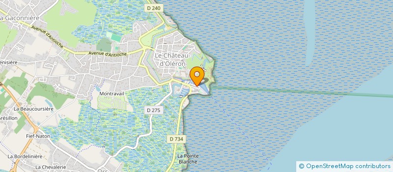 localisation de l'entreprise NAUTIC 17 à LE CHATEAU-D'OLERON