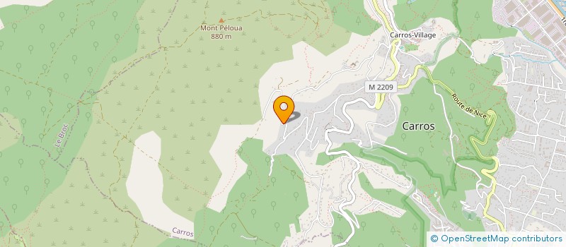 localisation de l'entreprise NCPL à CARROS