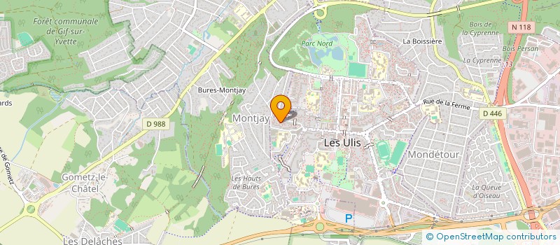 localisation de l'entreprise NDIOMBOR CONSEIL à LES ULIS