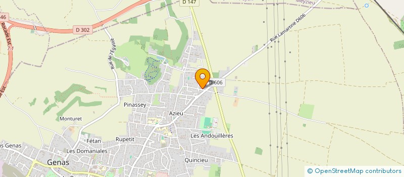 localisation de l'entreprise NE.APP.  GENAS