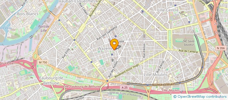 localisation de l'entreprise NEAR AND OPEN HUMANITY  LILLE