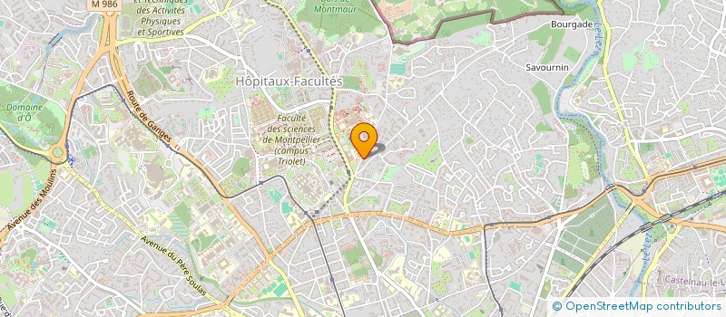 localisation de l'entreprise NEBULA à MONTPELLIER