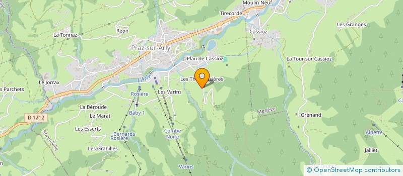 localisation de l'entreprise NEC  PRAZ-SUR-ARLY