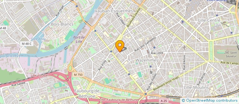 localisation de l'entreprise NEDZMA à LILLE