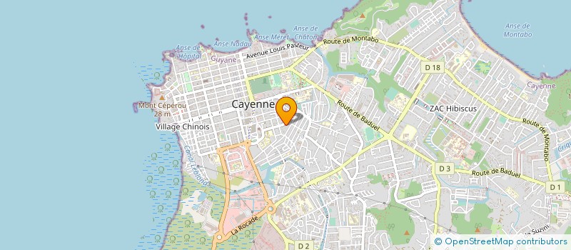 localisation de l'entreprise NEED SECURITE PRIVEE à CAYENNE