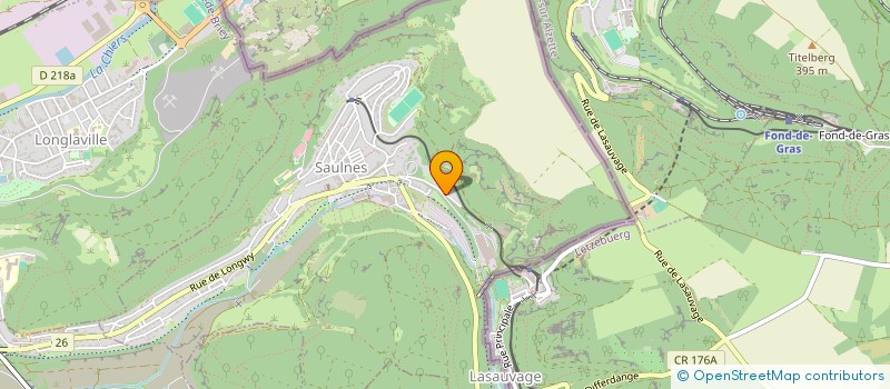 localisation de l'entreprise NEEDLE  SAULNES