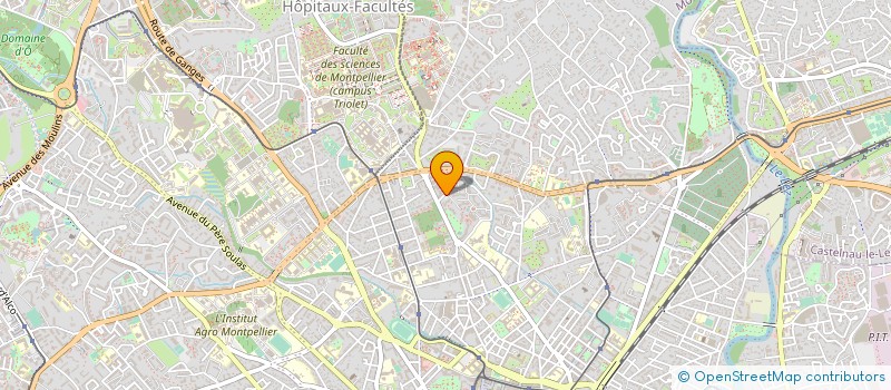 localisation de l'entreprise NEGOCIKA à MONTPELLIER