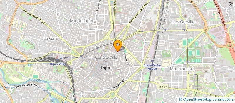 localisation de l'entreprise NEIGE D'OR à DIJON