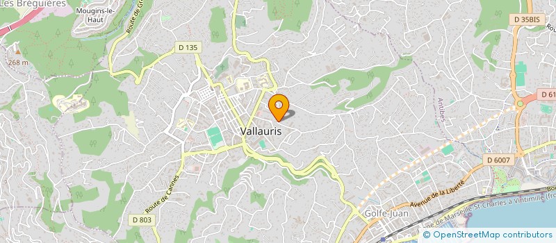 localisation de l'entreprise NEIGELINE à VALLAURIS