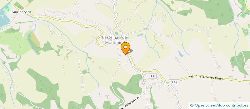 localisation de l'entreprise NEIGONG à CASTELNAU-DE-MONTMIRAL