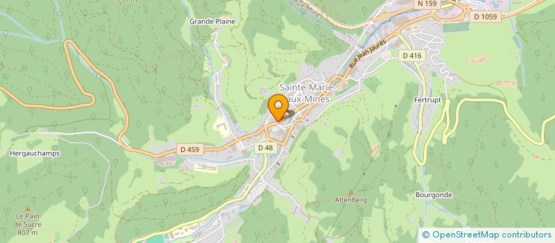 localisation de l'entreprise NELCIE à SAINTE-MARIE-AUX-MINES