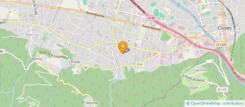 localisation de l'entreprise NELDIMA à SCIONZIER