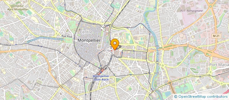 localisation de l'entreprise NELIS  CASTELNAU-LE-LEZ