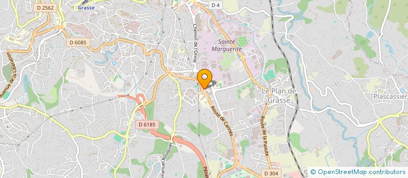 localisation de l'entreprise NELLA OR  GRASSE