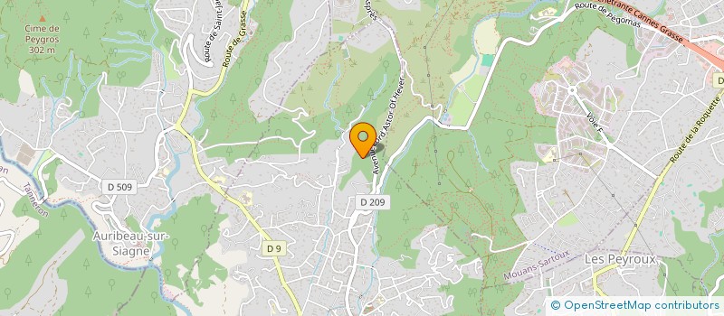 localisation de l'entreprise NELLI  PEGOMAS