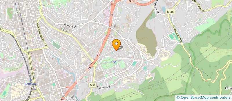 localisation de l'entreprise NELLY EPICES  SAINT-ETIENNE