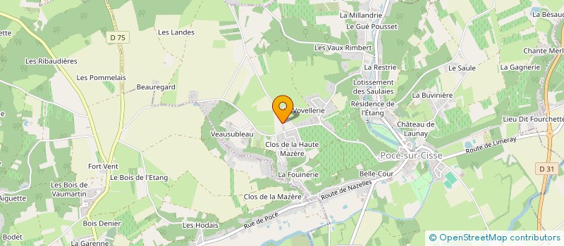 localisation de l'entreprise NELSA  POCE-SUR-CISSE