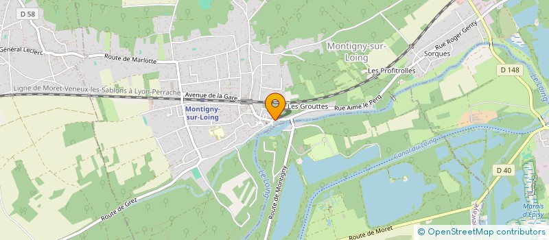 localisation de l'entreprise NELSMEG  MONTIGNY-SUR-LOING