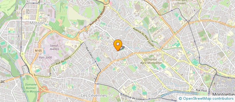 localisation de l'entreprise NEMA  MONTPELLIER