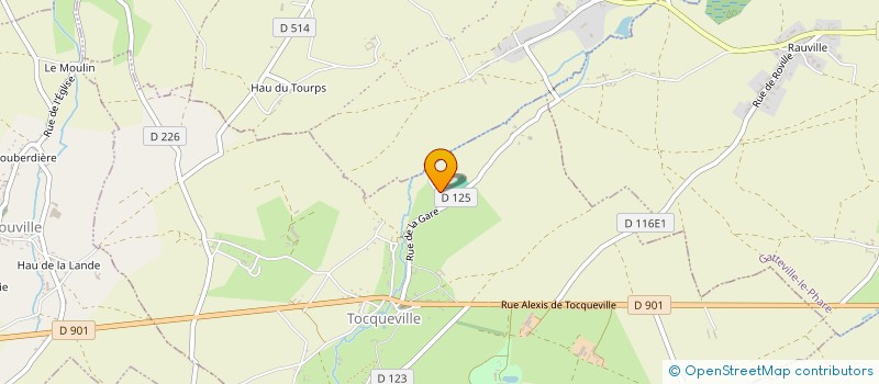 localisation de l'entreprise NEMO  TOCQUEVILLE