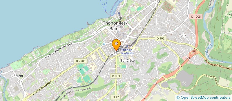 localisation de l'entreprise NEMOURS SERVICE à THONON-LES-BAINS