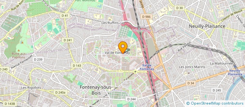localisation de l'entreprise NENUSHA MARKET à FONTENAY-SOUS-BOIS