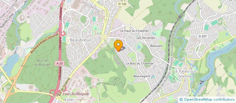 localisation de l'entreprise NEO - RALLUMEUR D'ETOILES  LE PALAIS-SUR-VIENNE