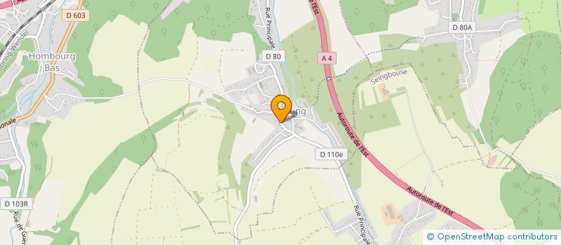 localisation de l'entreprise NEOLABO DESIGN DENTAIRE  BENING-LES-SAINT-AVOLD