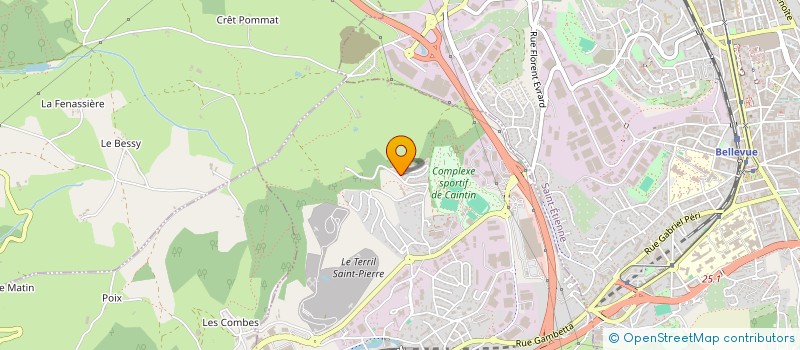 localisation de l'entreprise NEOS  LA RICAMARIE