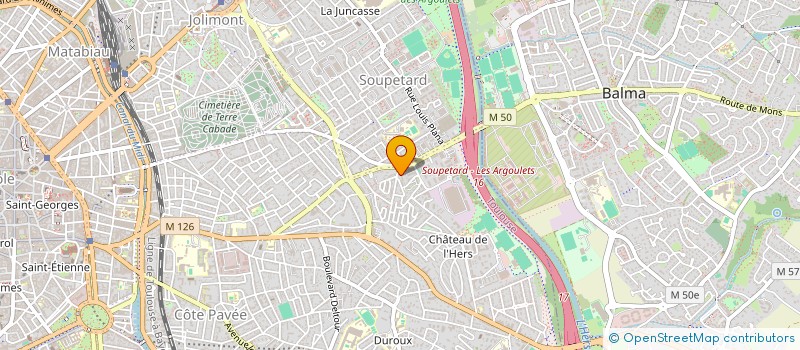 localisation de l'entreprise NERO  TOULOUSE