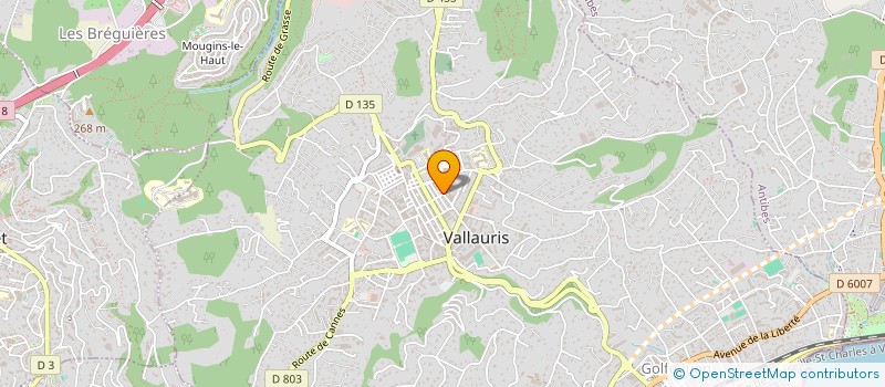 localisation de l'entreprise NESY à VALLAURIS